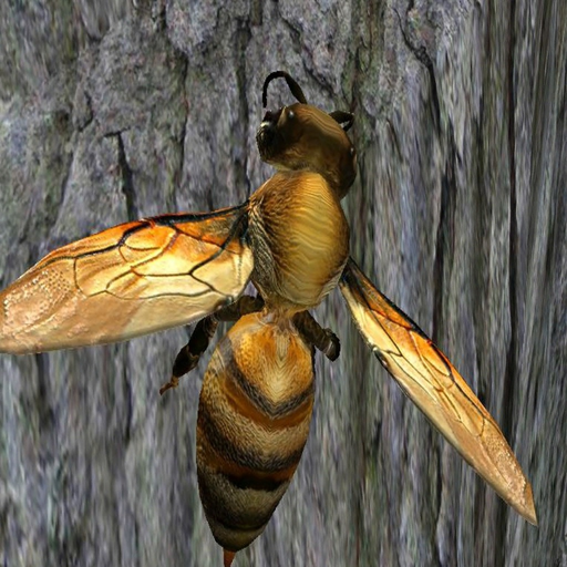 Bee Nest Simulator Full app icon