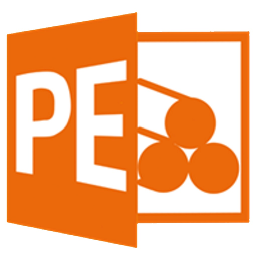 Poltererfassung NG app icon