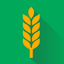 Moddus icon