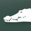Crocodile, Alligator, Gharials icon