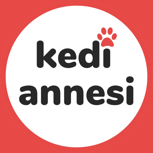 Kedi Annesi app icon