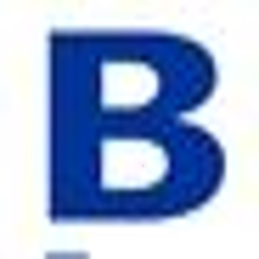 Braddy Insurance, Inc Online app icon