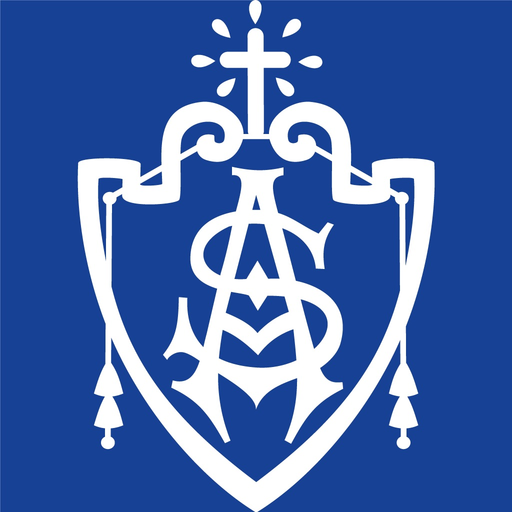 Rede de Educação Santos Anjos app icon