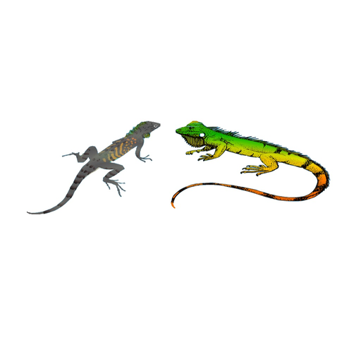 Two Iguanas app icon