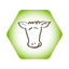 CowSignals® Training Company icon