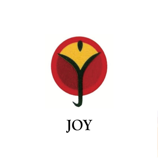 JOY SURBITON app icon