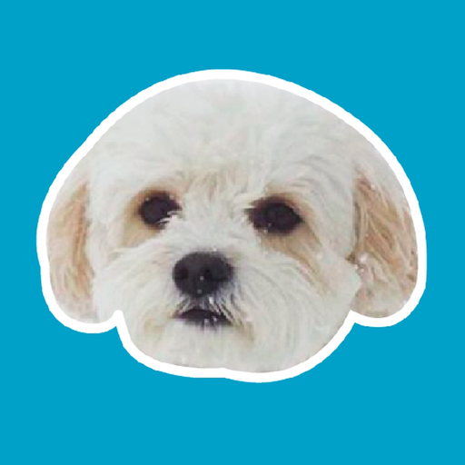 Precious Puppies app icon