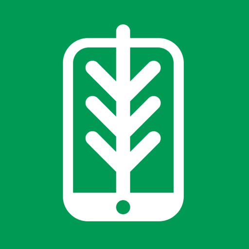 FlorestaDB app icon