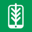 FlorestaDB icon