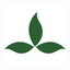 Green Smart icon