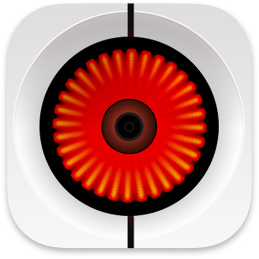 Focus Dashcam Organizer app icon