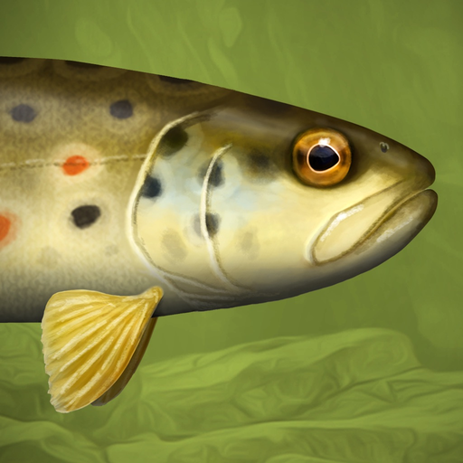Trutta app icon
