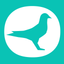 TOPigeon Clock icon