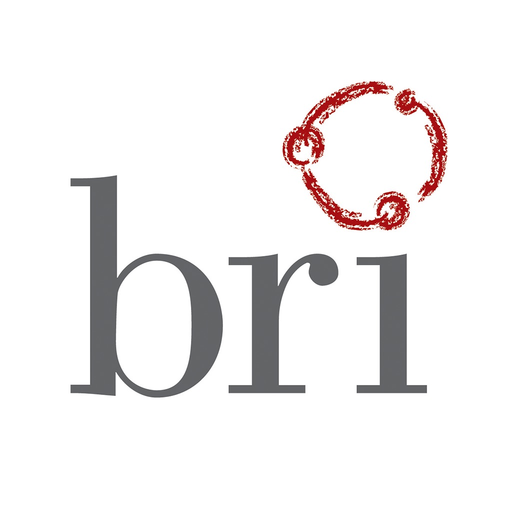 BRI-OK app icon