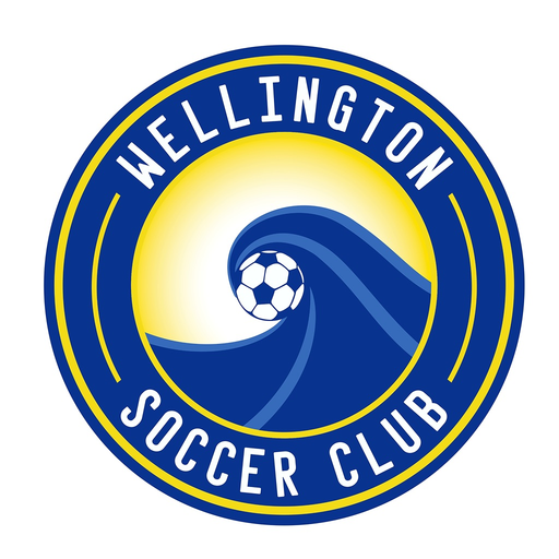 Wellington Wave app icon