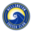 Wellington Wave icon