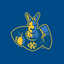 Kansas City Roos icon