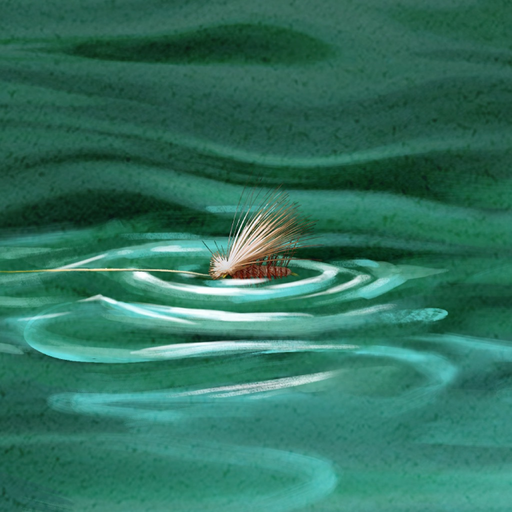 Freshwater Fly Strike app icon