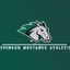 Stevenson Mustangs Athletics icon