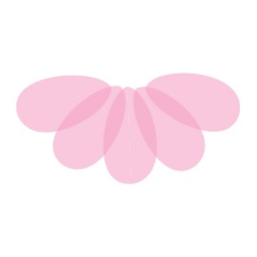 Arte-N Manicura app icon