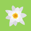 Tauchen-App Wasserpflanzen icon