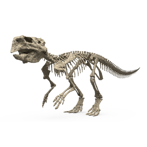 Famous Fossil app icon