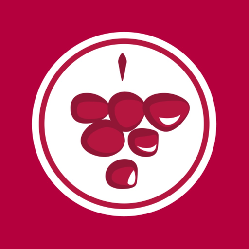 Vinitor app icon
