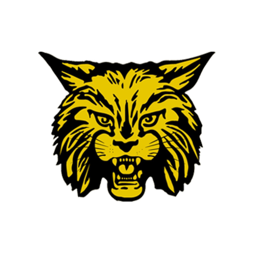 Carrier Mills-Stonefort, IL app icon