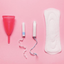 Understand Menstrual Cycle icon