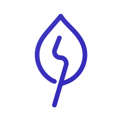 Salvo app icon