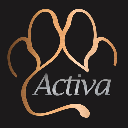 Activa Custom app icon