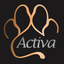 Activa Custom icon