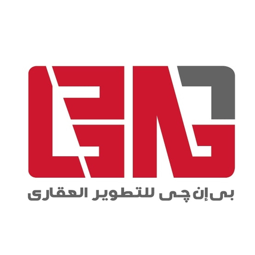 Bng Real Estate Development app icon
