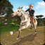 Wild West Horse Racing icon