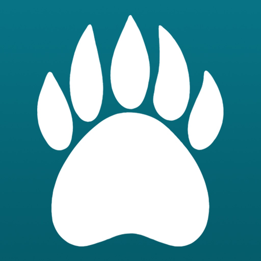 Bear Country Sun Peaks app icon