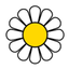 Daisy-PCOS icon