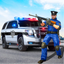Policeman : Ultimate Simulator icon