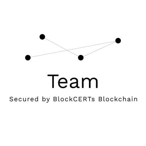 TeamCERTin app icon
