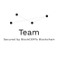TeamCERTin icon