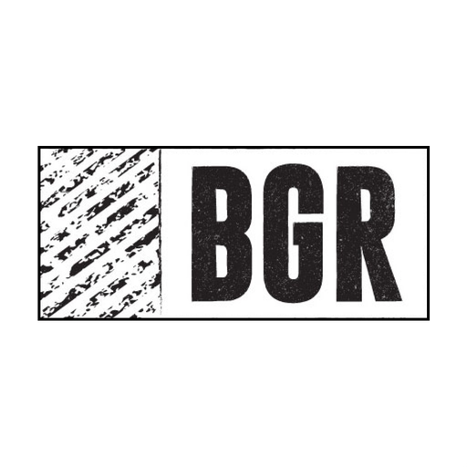 BGR - The Burger Joint app icon