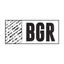 BGR - The Burger Joint icon