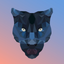 PantherPet icon