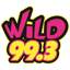 WiLD 99.3 icon