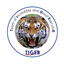 Tiger-apps icon