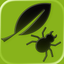 Plant diseases and pests icon