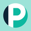 ParkingPro App icon