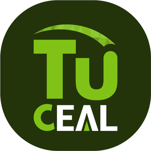 Ceal Conductor app icon