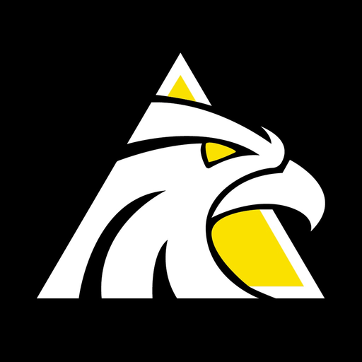 LAAR SEGURIDAD app icon