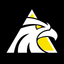 LAAR SEGURIDAD icon