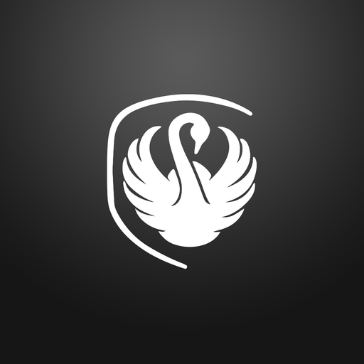 Dansk Limousine Service app icon